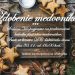Predvianočné Zdobenie medovníkov v obci Vrchteplá