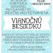 Vianočná besiedka v obci Domaniža