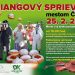 Fašiangový sprievod v Čadci