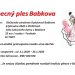 Ples v obci Babkov