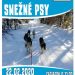 Podujatie Turčianske snežné psy v obci Valča