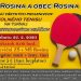 Stolnotenisový turnaj v obci Rosina
