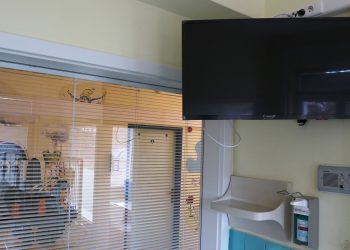 Novinky pre rodičov s deťmi na oddelení pediatrie