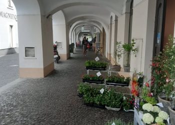Centrum Žiliny pomaličky ožíva