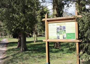 Nová spolupráca na záchranu Hrádockého arboréta
