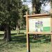 Nová spolupráca na záchranu Hrádockého arboréta