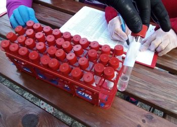 Výsledky testov v Centre sociálnych služieb Ľadoveň