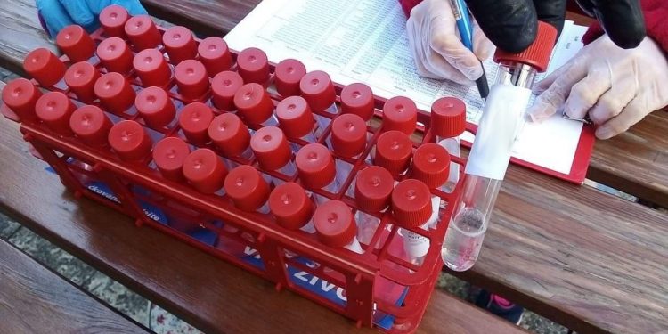 Výsledky testov v Centre sociálnych služieb Ľadoveň