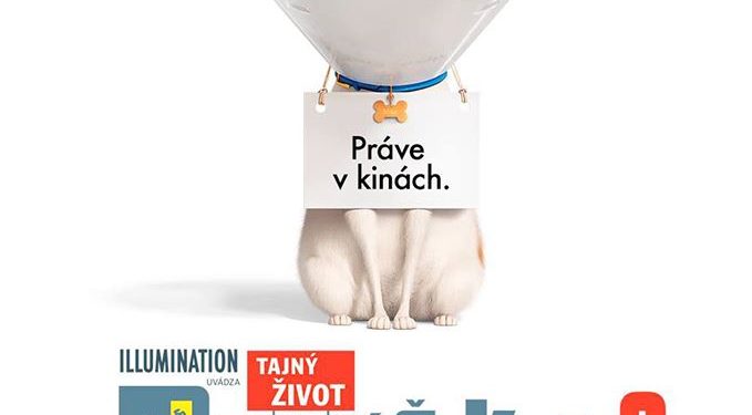 Letné kino v Považskej Bystrici