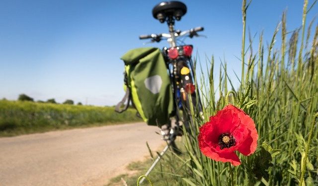 Terchová: Hrajúce zastávky zakomponujú do chodníkov a cyklotrás