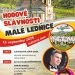 Hodové slávnosti v obci Malé Lednice